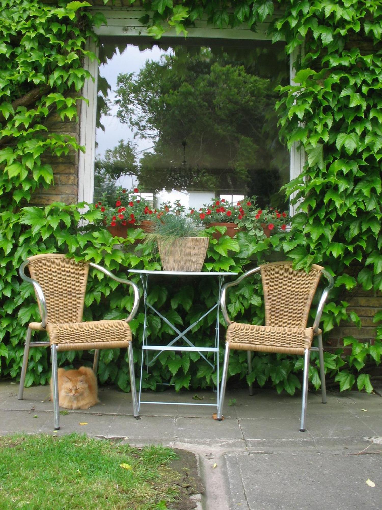 B&B Villa Vanilla Ypres Esterno foto